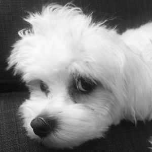 Meet your Posher, Carlota